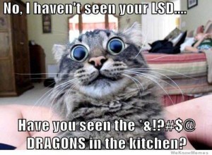 dragons LSD