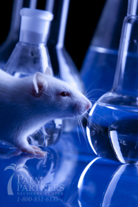 Scientists Might be Testing Mice with 'Cure' for Addiction