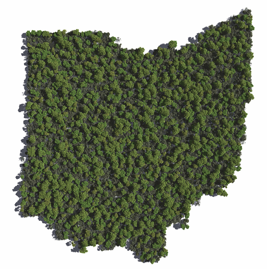 Will Ohio get Legal Weed this Year?