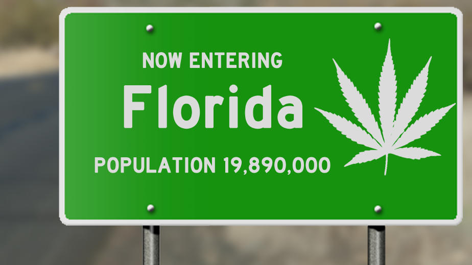 Palm Beach County Votes to Decriminalize Marijuana