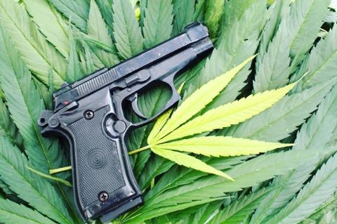 Should Marijuana Get Same State-to-State Treatment as Guns?