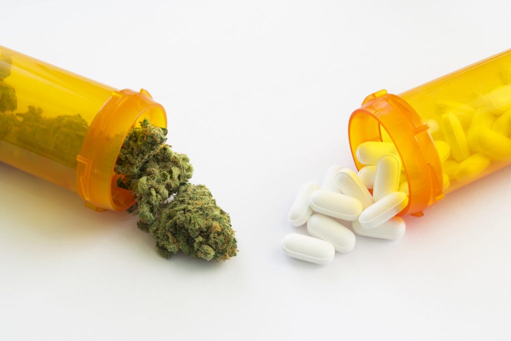 Does Cannabis Use Really Cause Opioid Use Disorder?